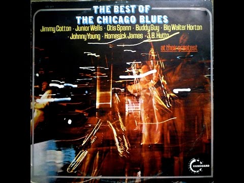 JUNIOR WELLS - CHECKING ON MY BABY