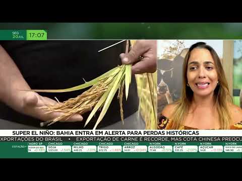 Super El Niño: Bahia entra em alerta para perdas históricas