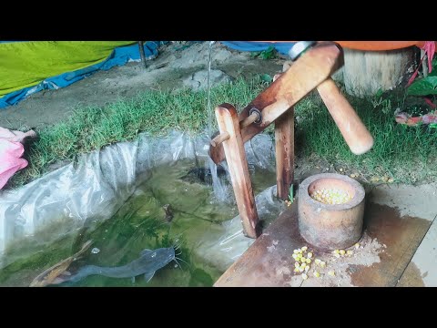 water powered pounder corn mill live ep -84