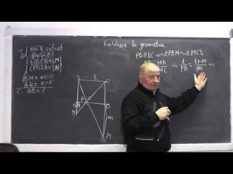 1/2 Lectia 847 - Patrat Trapez Th. Thales Th. fundamentala a asemanarii Cazuri asemanare - Clasa 7