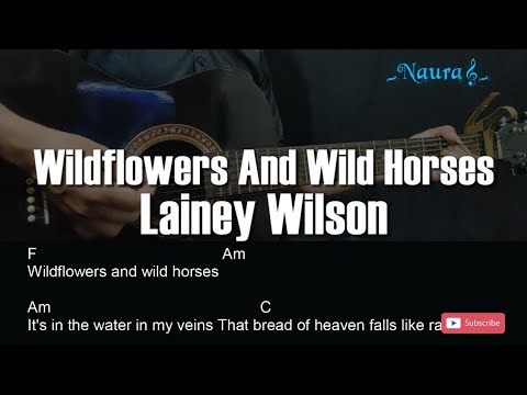 Wildflowers And Wild Horses - Lainey Wilson
