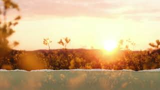 Sommarsol (Svensk text till &quot;Love In June&quot;)