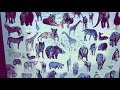 Animal Age Part 13 Cave Drawings