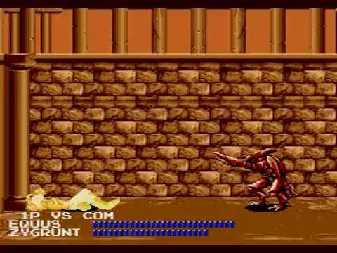 Fighting Master - Mega Drive - Equus - Completo