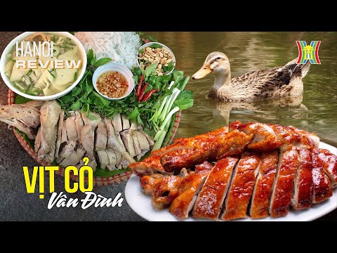 Vịt cỏ Vân Đình - Nét ẩm thực dân dã của người Hà thành | Hanoi Review