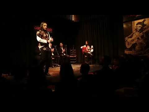 El Polito en Casa Patas