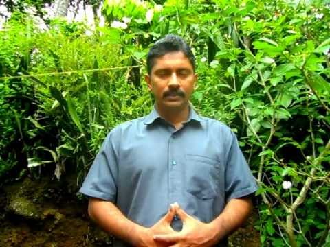 Buddhist Meditation-Trance