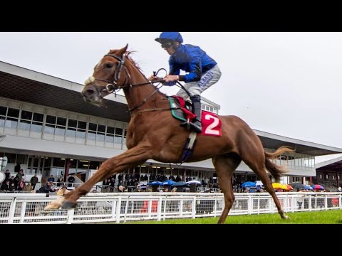 Racehorse Calypso Breeze's Tragic Accident: Trainer Denis Quinn's Close Call