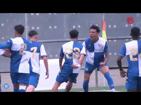 RESUM JORNADA 29