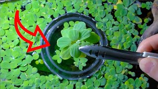 16 MOST USEFUL Non Aquarium products for your fish tank