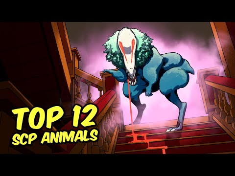SCP-1550 Dr. Wondertainment's Custom Pets  - Top 12 SCP Animals (Compilation)