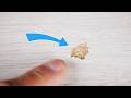 Incredible How To Repair Laminate In Just 5 Minutes Without Expensive Tools