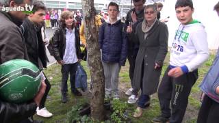 Eco Dia 2014 - EcoFCaldeira