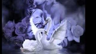 Regresa a Mí