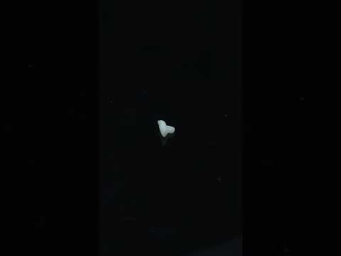 YouTube 썸네일