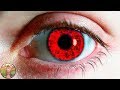 LES COULEURS DES YEUX LES PLUS RARES DU MONDE QUE VOUS AIMERIEZ AVOIR | Lama Faché