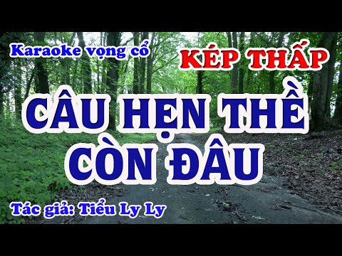 Câu Hẹn Thề Còn Đâu - Karaoke Vọng cổ Dây Kép Thấp - Tác giả: Tiểu Ly Ly.