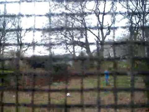 Fußball mit dumme Leute