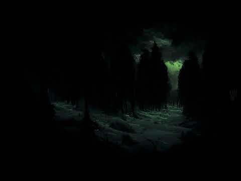 Dark Cold Forest - Dark Wilderness (2 hours immersive dark ambient)