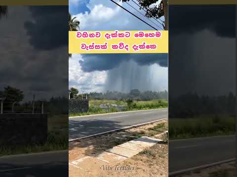 මෙහෙම වැස්සක් ඔයාලටත් ඕනද 😂😂🌧️⛈️🌧️🌦️🌧️🌦️🤓#trendingshorts
