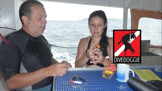 JS5 2 Bull Shark Tissue Sampling