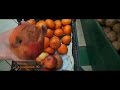 Хрюши против - новичок 