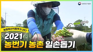 2021 농번기 농촌 일손 돕기 현장