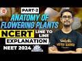 Anatomy of Flowering Plants | Part-2 | NCERT Line to Line Explanation | NEET 2024 | Ajay Sir