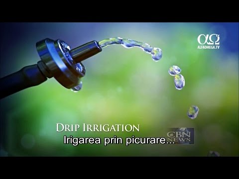 Made in Israel - Water