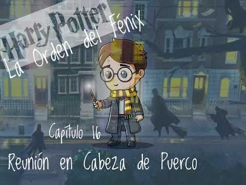 16 Reunion En Cabeza De Puerco - Harry Potter La Orden Del Fenix