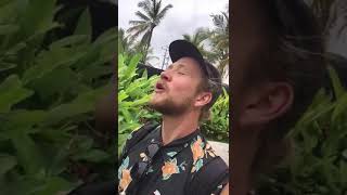 Download lagu turis pinter bahasa lombok mp3