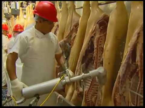 Llp-1 leaf lard puller