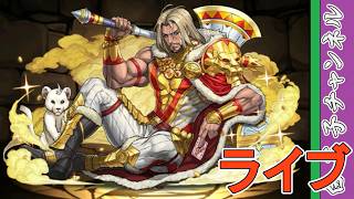 【パズドラ】トランプとは8月パズドラ by白王子 2026/8/23