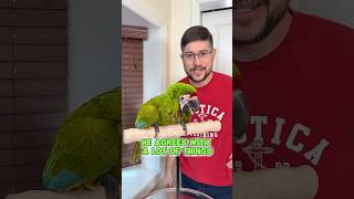 Bird of Absolute Certainty and Agreement