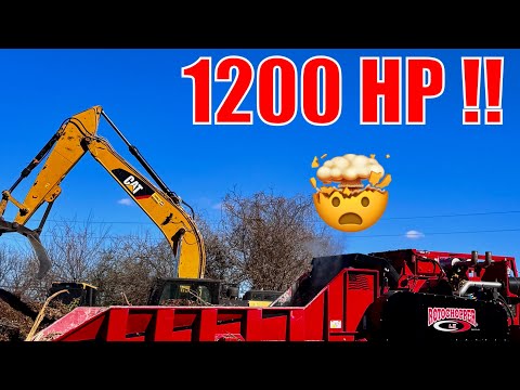These MONSTER Grinders Have 1200 HORSEPOWER 😳 Texas Trees Get EATEN #rotochopper