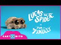 First Look | Fun With Findley | Lucas The Spider
