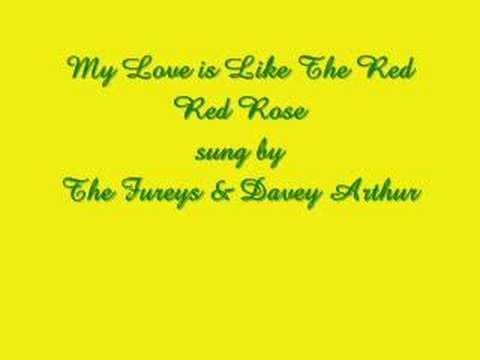 My Love is Like A Red Red Rose - The Fureys & Davey Arthur