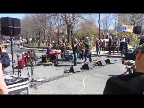 Akashic Records -- Live festival