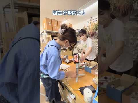 園芸 サボテンキャンドル