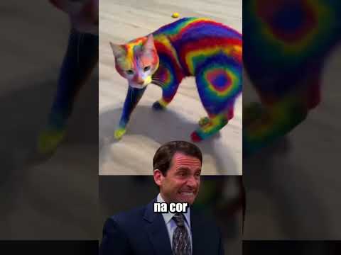 REPARA BEM NA COR DO GATO!