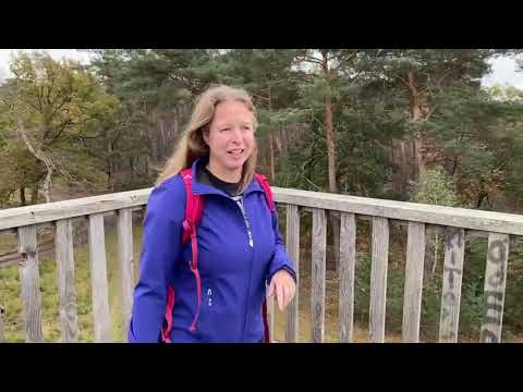 Wandelvlog Nationaal Park De Meinweg | J Loves to Travel