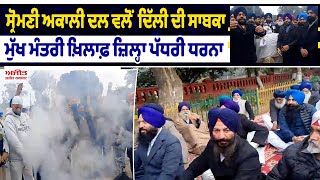 Shiromani Akali Dal ਵਲੋਂ ਦਿੱਲੀ ਦੀ ਸਾਬਕਾ ਮੁੱਖ ਮੰਤਰੀ ਖ਼ਿਲਾਫ਼ ਜ਼ਿਲ੍ਹਾ ਪੱਧਰੀ ਧਰਨਾ