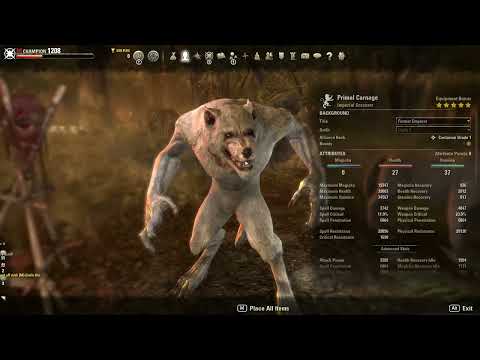 The BEST WW pvp build  | No Cp | that u can have | OVP AS F