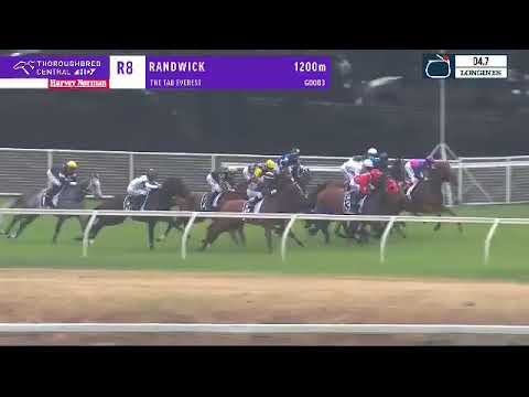 2017 - The Everest - Redzel