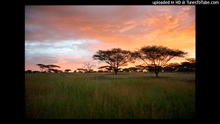 Across the Serengeti  Jack Wilds  Grade: 0.5