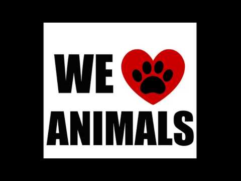 Martin Garrix & Icona Pop - I Love Animals (dj Lukas bootleg)