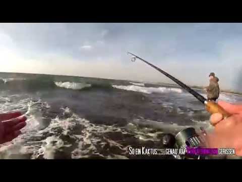 JENZI 2014 - In der Ostseebrandung auf Dorsch und Meerforelle | Eine Akkuladung am Wasser 5