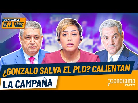 Is Gonzalo Castillo running? Danylsa Vargas reiterates he would be the salvation of the PLD.
