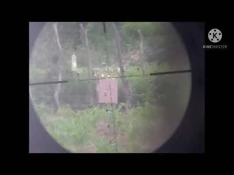 "Novidade" Carabina Kral Super Jumbo 5.5 agrupamento a 52 metros.