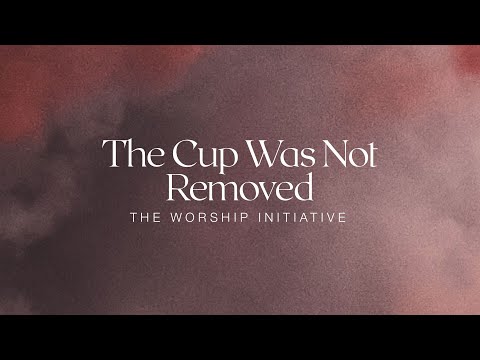 Thumbnail for The Cup Was Not Removed video